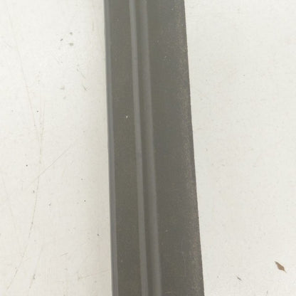 Buick Encore GX Door Glass Window Weather Strip Trim Rear Left Driver 
