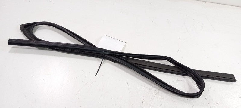 Acura TSX Door Glass Window Seal Rubber Right Passenger Front 2014 201