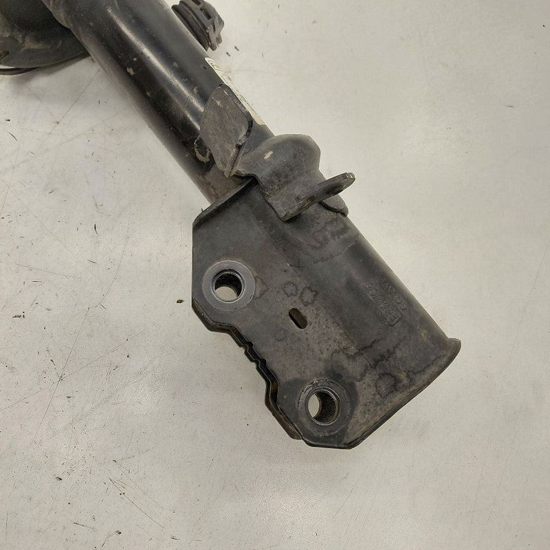 Passenger Right Front Strut AWD Fits 20-22 Ford Escape