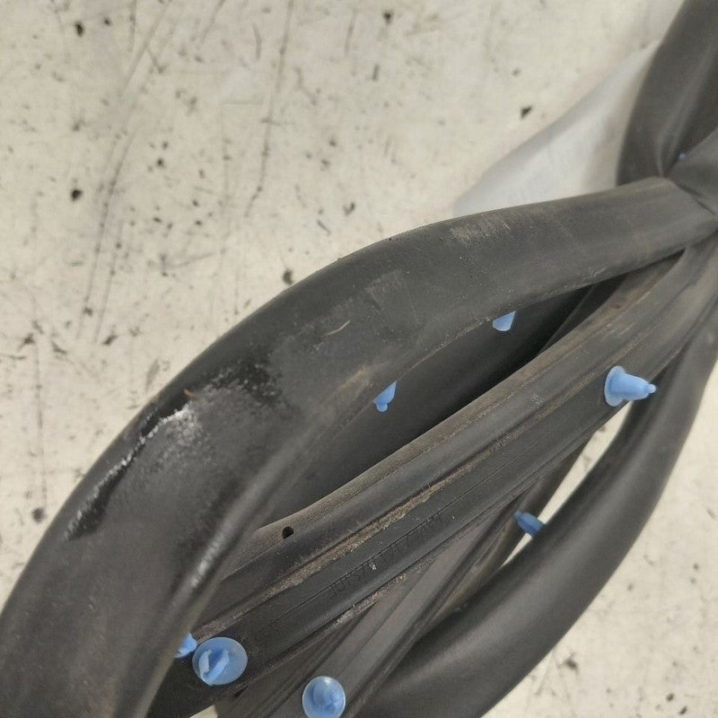 Kia Sorento On Door Seal Rubber Right Passenger Rear Back  2018 2017 2