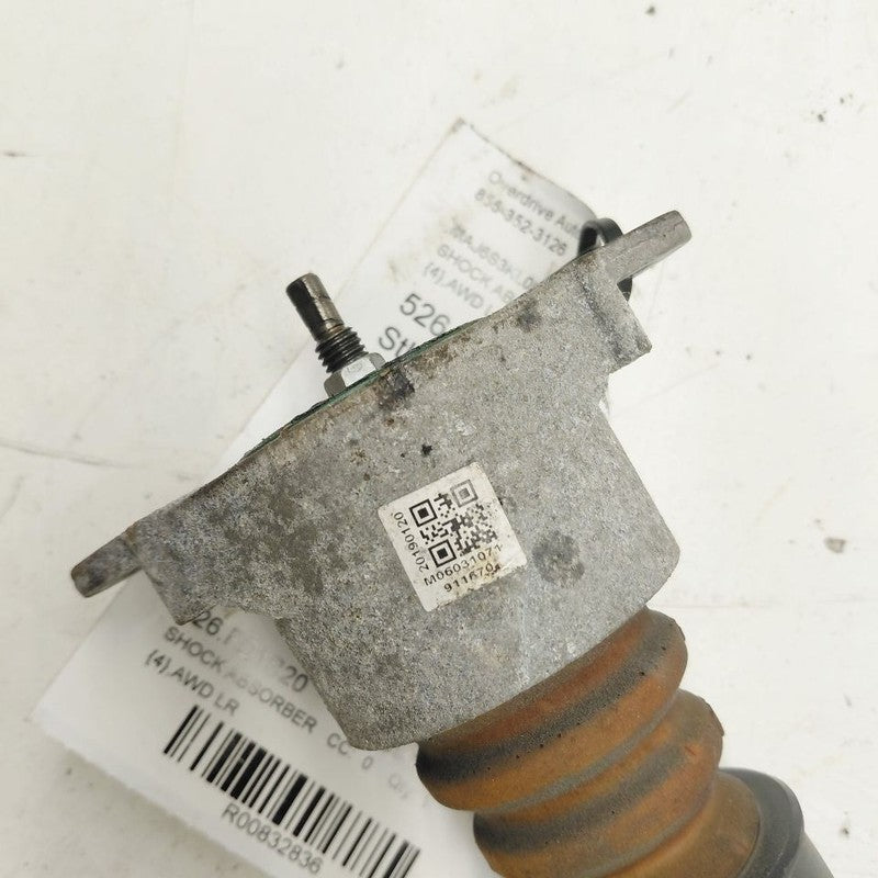 Ford Ecosport Left Rear Shock Absorber  2020 2021 2022 OEM