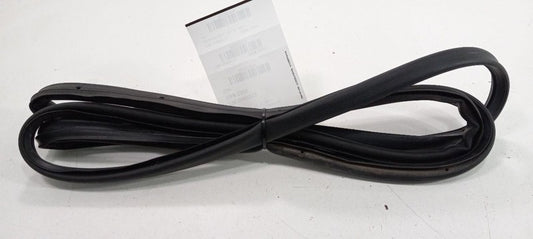 Cadillac XTS On Door Seal Rubber Right Passenger Rear Back 2013 2014 2015 2016
