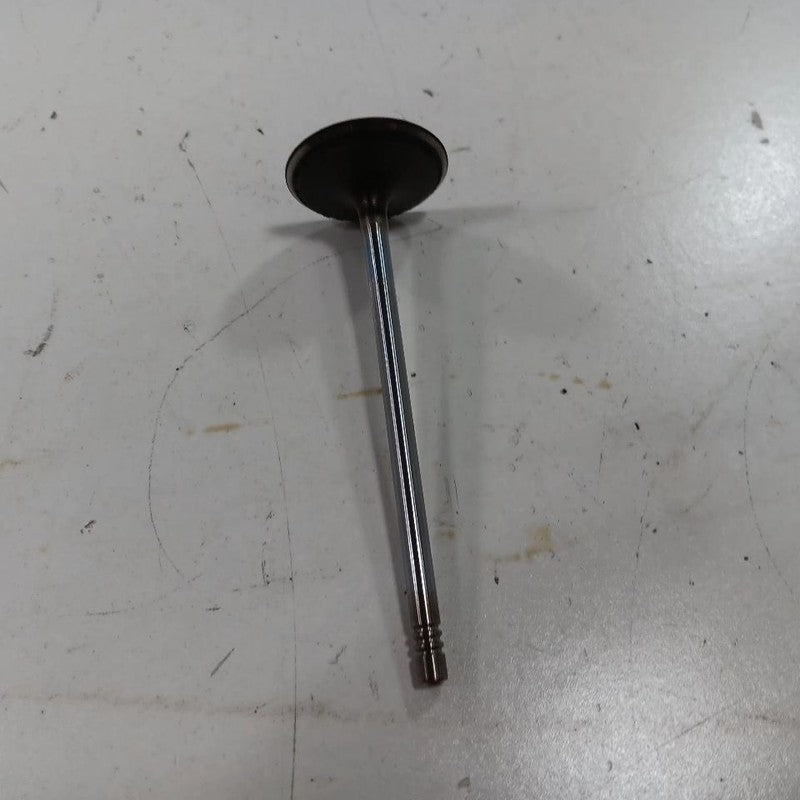 Jeep Compass 2.4 Cylinder Head Intake Valve 2017 2018 2019 2020 2021 2