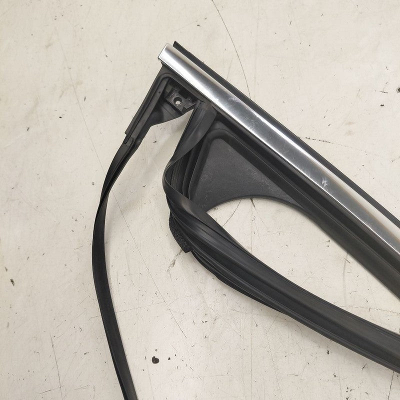 Cadillac CT6 Door Glass Window Seal Rubber Right Passenger Front  2018