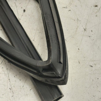 Nissan Murano Door Glass Window Seal Rubber Left Driver Rear Back 2020