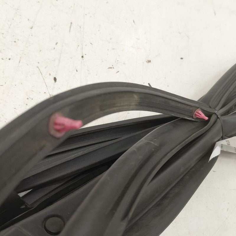 Toyota Prius On Door Seal Rubber Right Passenger Front  2022 2021 2020