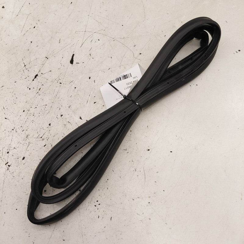 Cadillac CT6 On Door Seal Rubber Right Passenger Rear Back  2018 2017 
