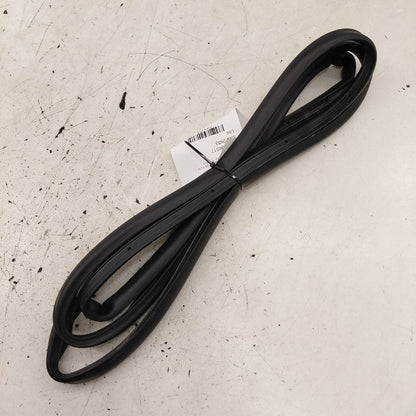 Cadillac CT6 On Door Seal Rubber Right Passenger Rear Back  2018 2017 