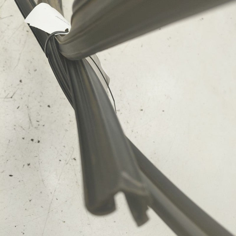 Lexus IS350 Door Glass Window Seal Rubber Left Driver Front  2020 2019
