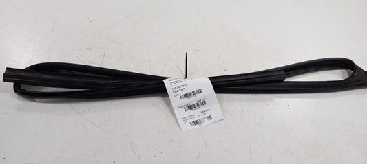 Honda Accord Door Glass Window Seal Rubber Right Passenger Front 2012 