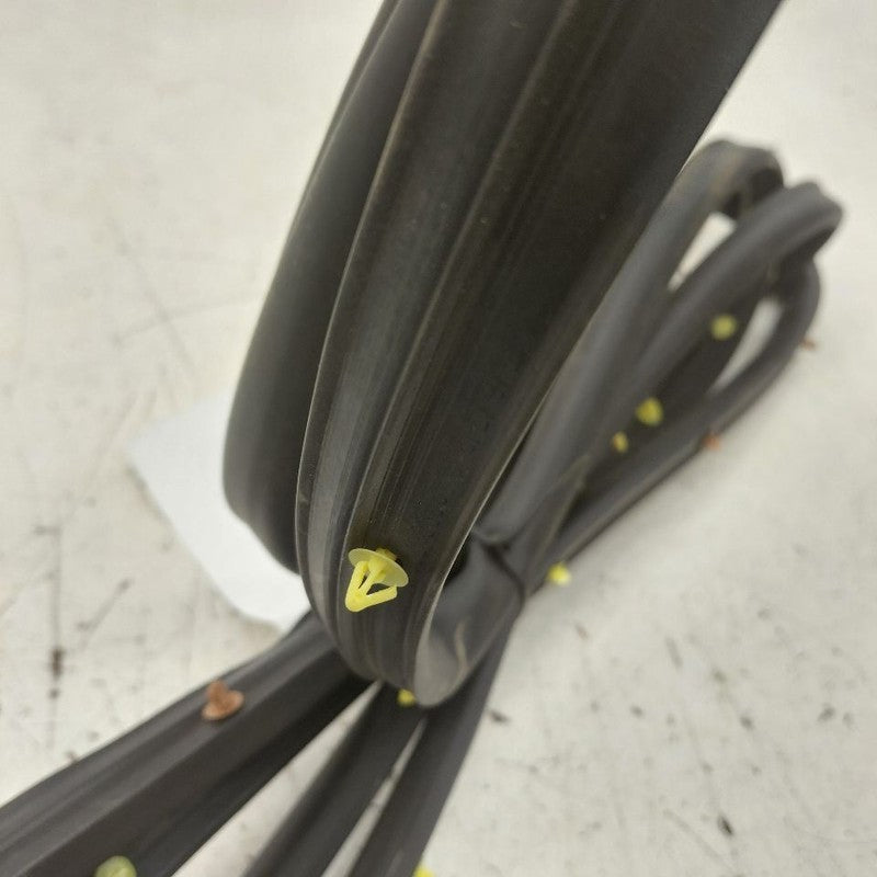 Chevy Equinox On Door Seal Rubber Left Driver Front  2024 2023 2022