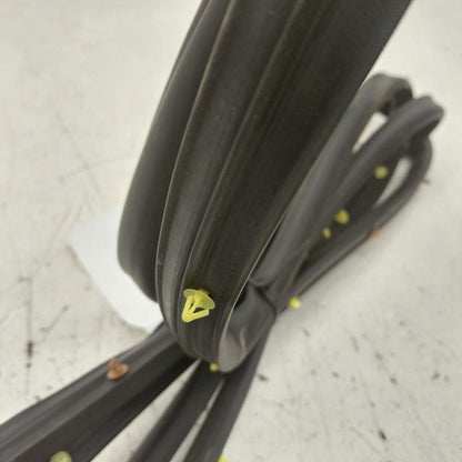 Chevy Equinox On Door Seal Rubber Left Driver Front  2024 2023 2022