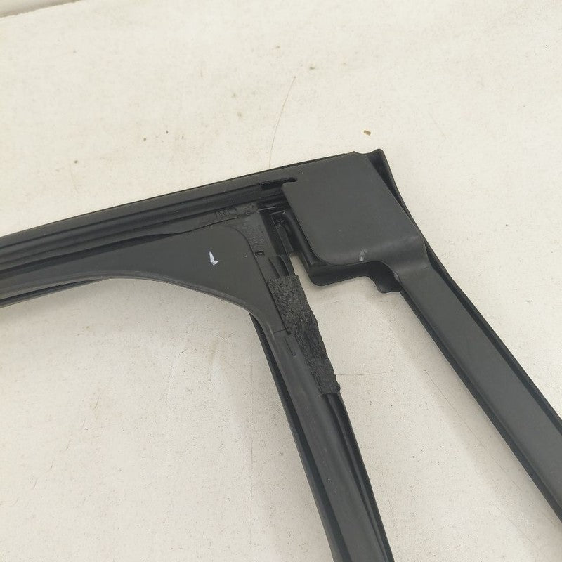 Ford Escape Door Glass Window Seal Rubber Left Driver Rear Back  2020 