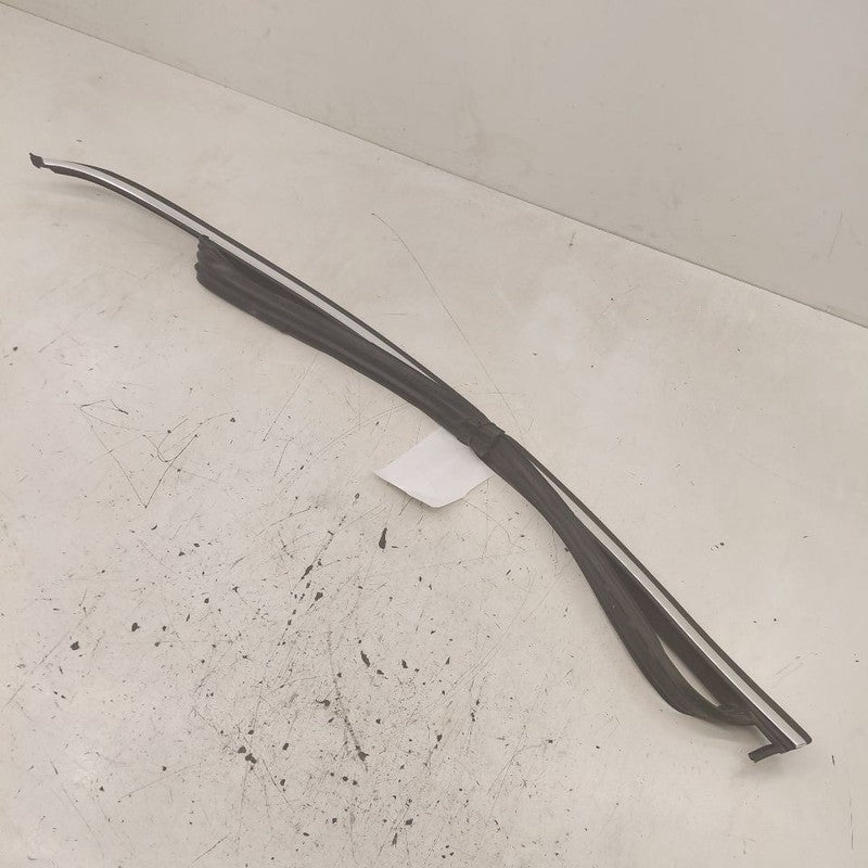 Volvo S60 Door Glass Window Seal Rubber Left Driver Front  2013 2014 2