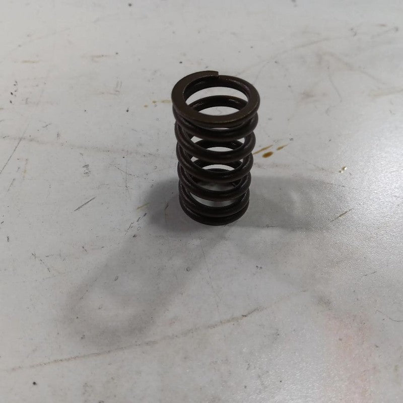Jeep Compass 2.4 Cylinder Head Intake Valve Spring 2017 2018 2019 2020