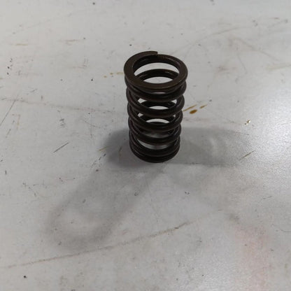 Jeep Compass 2.4 Cylinder Head Intake Valve Spring 2017 2018 2019 2020