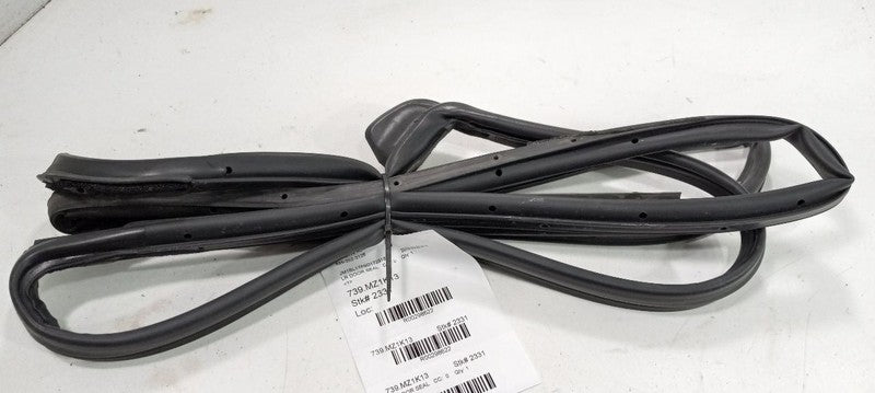 Mazda 3 On Door Seal Rubber Left Rear Back 2013 2012 2011 2010 OEM