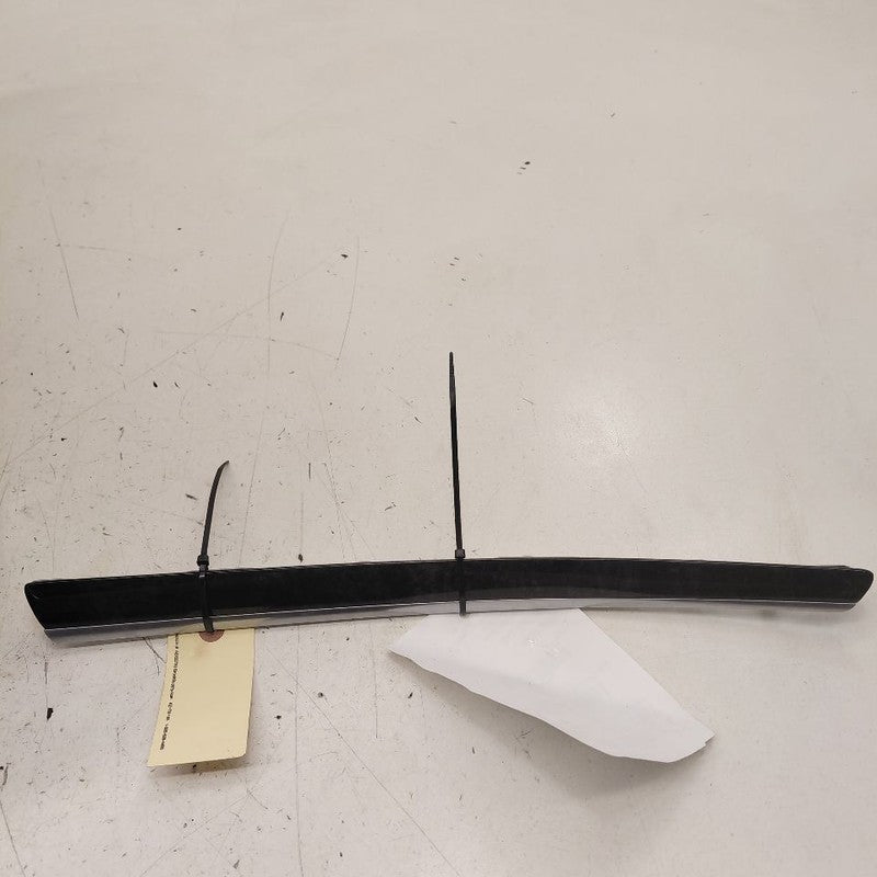 Chrysler 300 Passenger Right Rear Door Trim Bezel 2017 2018 2019