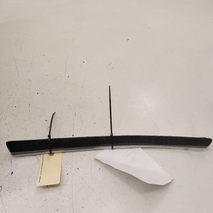 Chrysler 300 Passenger Right Rear Door Trim Bezel 2017 2018 2019
