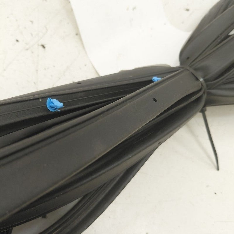 Honda HR-V On Door Seal Rubber Right Passenger Front  2026 2025 2024 2