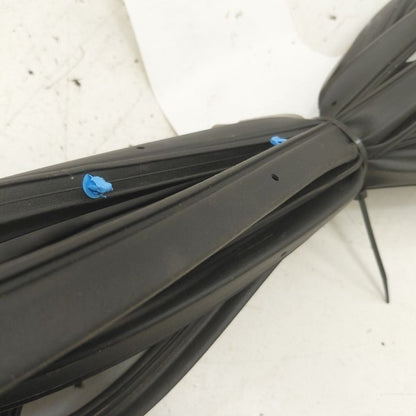 Honda HR-V On Door Seal Rubber Right Passenger Front  2026 2025 2024 2