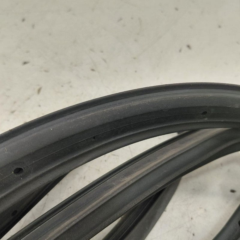 Chevy Trax On Door Seal Rubber Left Driver Rear Back  2022 2021