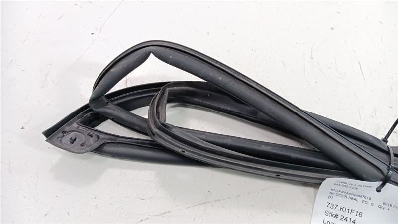 Kia Forte On Door Seal Rubber Right Passenger Front 2016 2015 2014 OEM