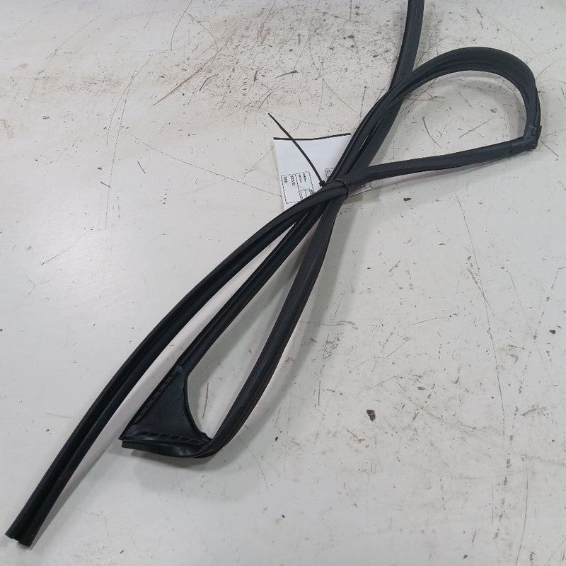 Subaru Crosstrek Door Glass Window Seal Rubber Left Driver Front  2019