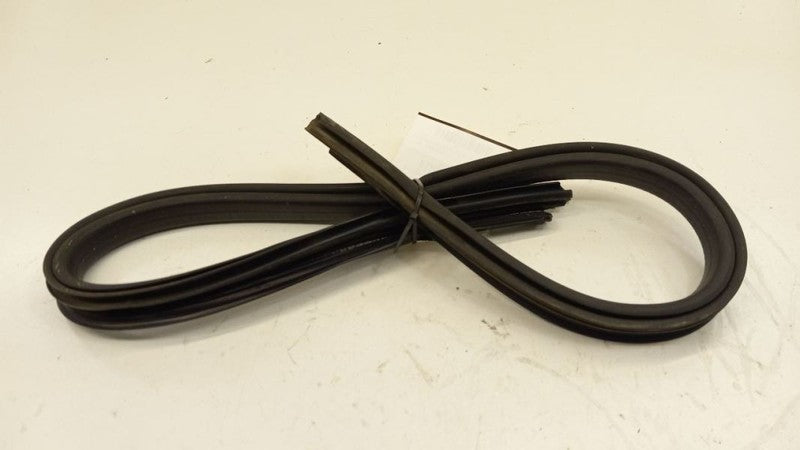Chevy Impala Door Glass Window Seal Rubber Left Rear Back 2012 2013 2014 2015