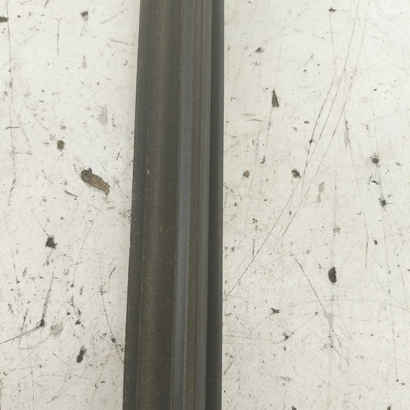 Ford Edge Door Glass Window Weather Strip Trim Rear Left Driver Back  
