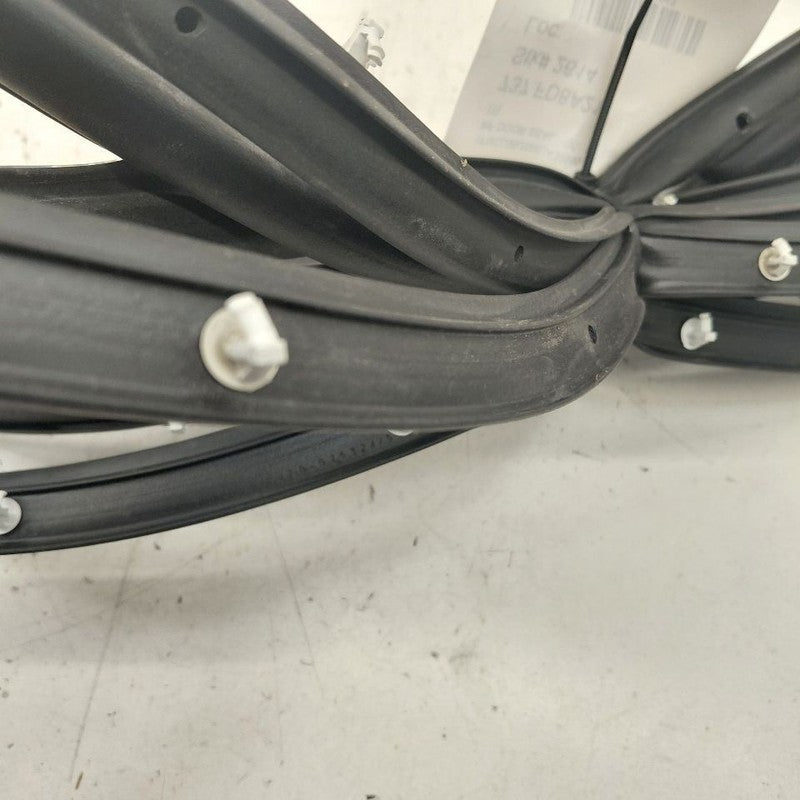 Ford Escape On Door Seal Rubber Right Passenger Front  2020 2021 2022