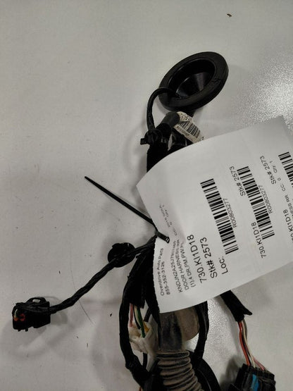 Kia Soul Door Harness Wire Wiring Right Passenger Rear  2017 2018 2019
