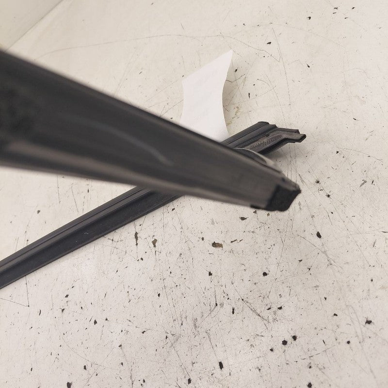 Ford Edge Door Glass Window Seal Rubber Left Driver Rear Back  2019 20