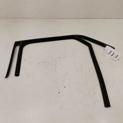 Chevy Trailblazer Door Glass Window Seal Rubber Left Driver Rear Back 