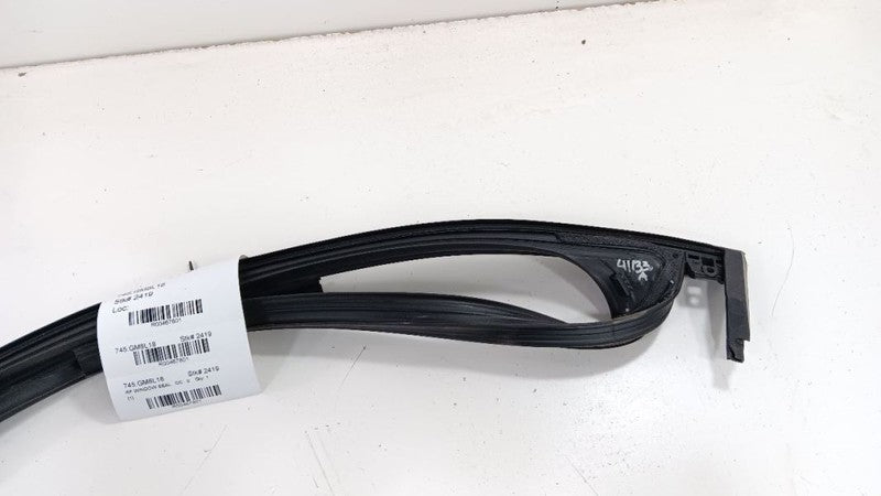 Chevrolet Equinox Door Glass Window Seal Rubber Right Passenger Front 