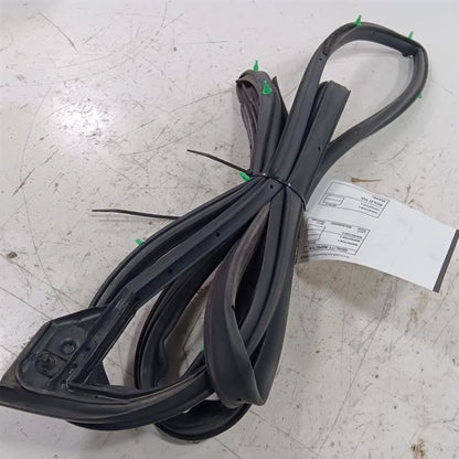 Toyota Rav 4 On Door Seal Rubber Left Driver Front  2015 2016 2017 2018