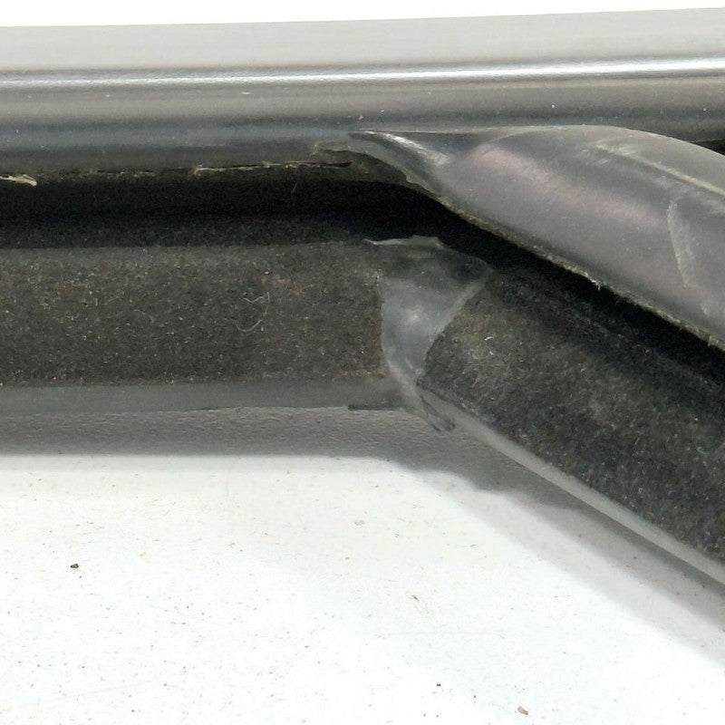 Ford Edge Door Glass Window Seal Rubber Right Passenger Front  2019 20