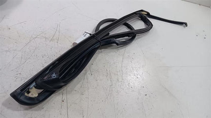 Buick Lacrosse Door Glass Window Seal Rubber Right Passenger Rear Back  2017 201
