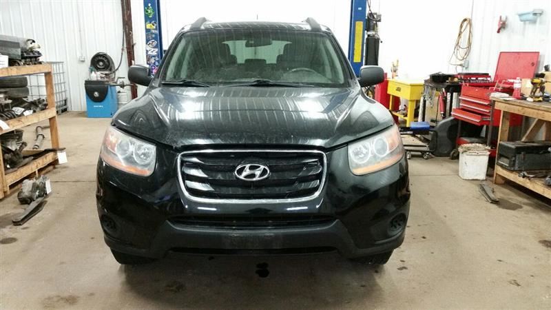 824210W011 Passenger Right Front Door Glass Window Fits 10-12 SANTA FE