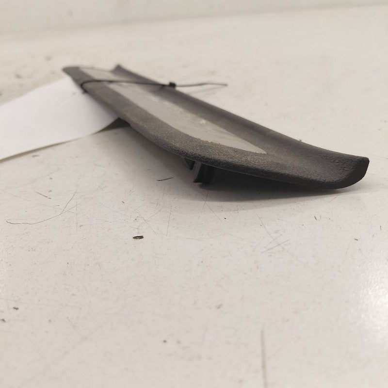 Hyundai Santa Fe Sill Trim Plate Door Jam Threshold Left Driver Rear  