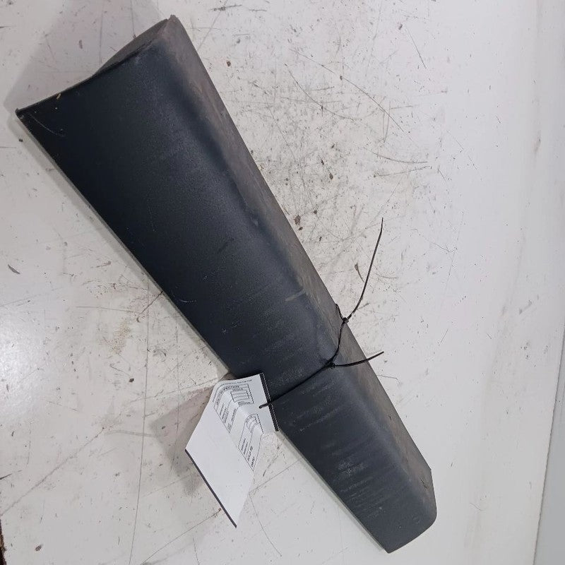 Ford Taurus Door Molding Trim Strip Left Side Rear Back  2019 2018 201