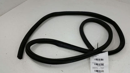 Chevy Impala On Body Door Jamb Seal Gasket Rear Back Left Back 2015 2016 OEM