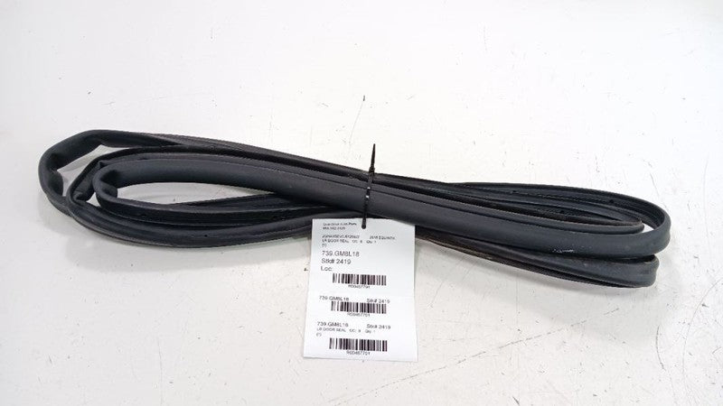 Chevrolet Equinox On Door Seal Rubber Left Rear Back 2018 2019 OEM