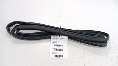 Chevrolet Equinox On Door Seal Rubber Left Rear Back 2018 2019 OEM