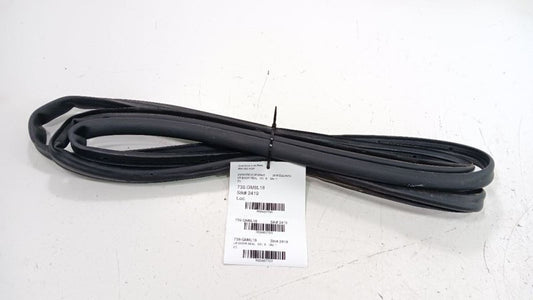 Chevrolet Equinox On Door Seal Rubber Left Rear Back 2018 2019 OEM