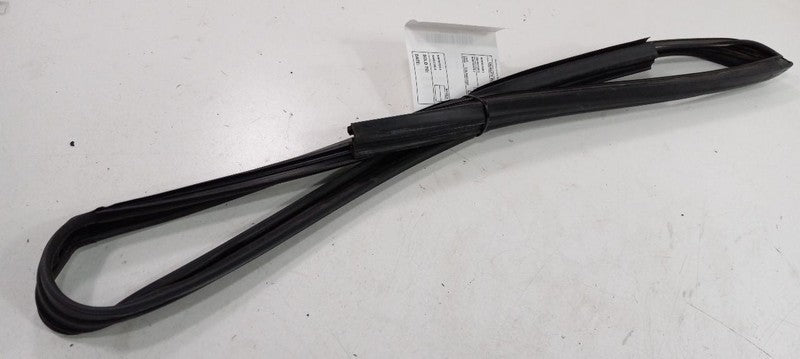 Cadillac CTS Door Glass Window Seal Rubber Left Driver Front 2010 2011 2012 2013