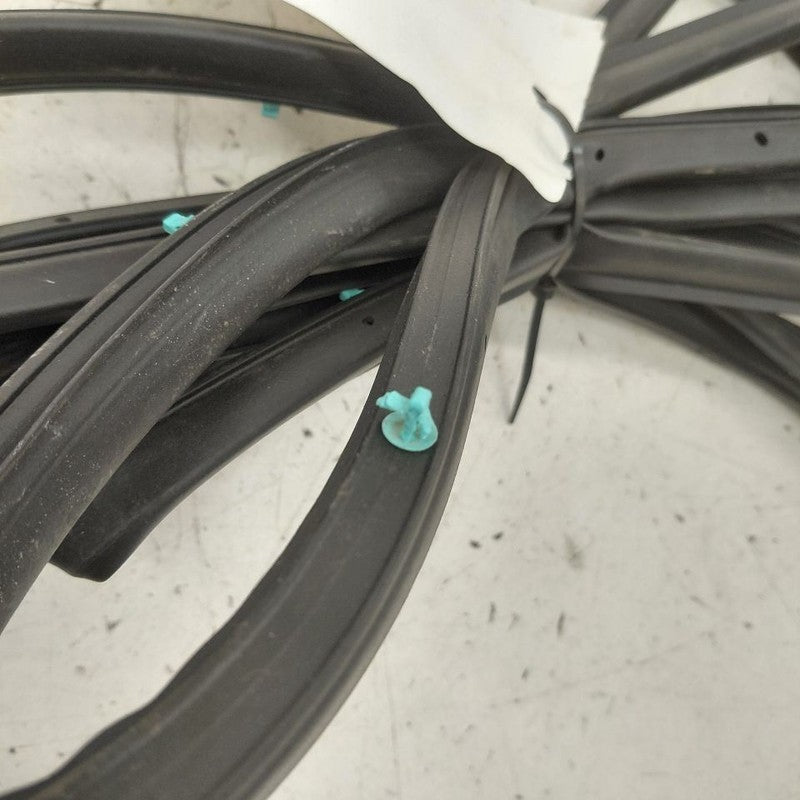 Honda HR-V On Door Seal Rubber Left Driver Rear Back  2026 2025 2024 2