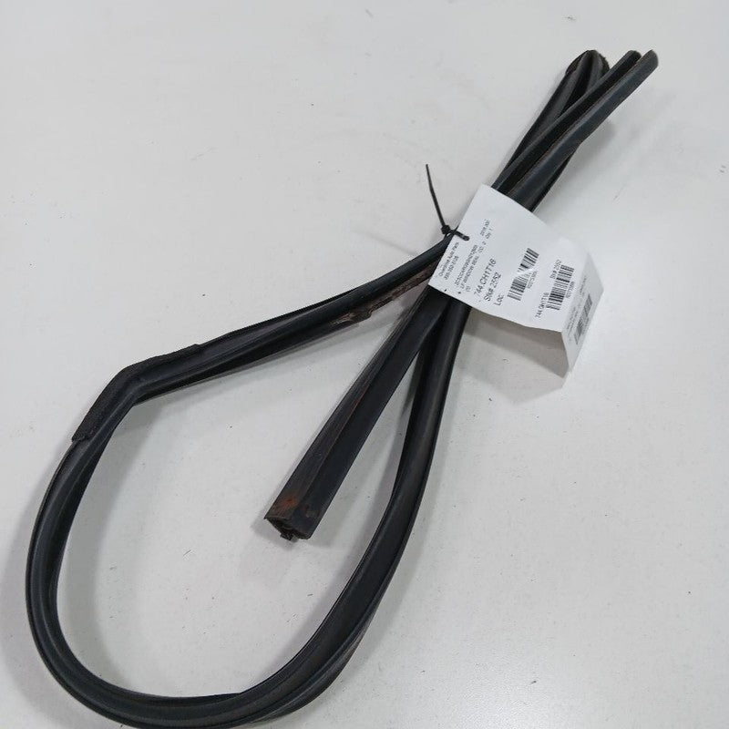 Chrysler 300 Door Glass Window Seal Rubber Left Driver Front 2015 2016
