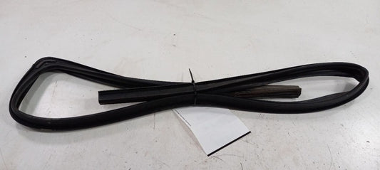 Dodge Journey Door Glass Window Seal Rubber Right Passenger Front 2011