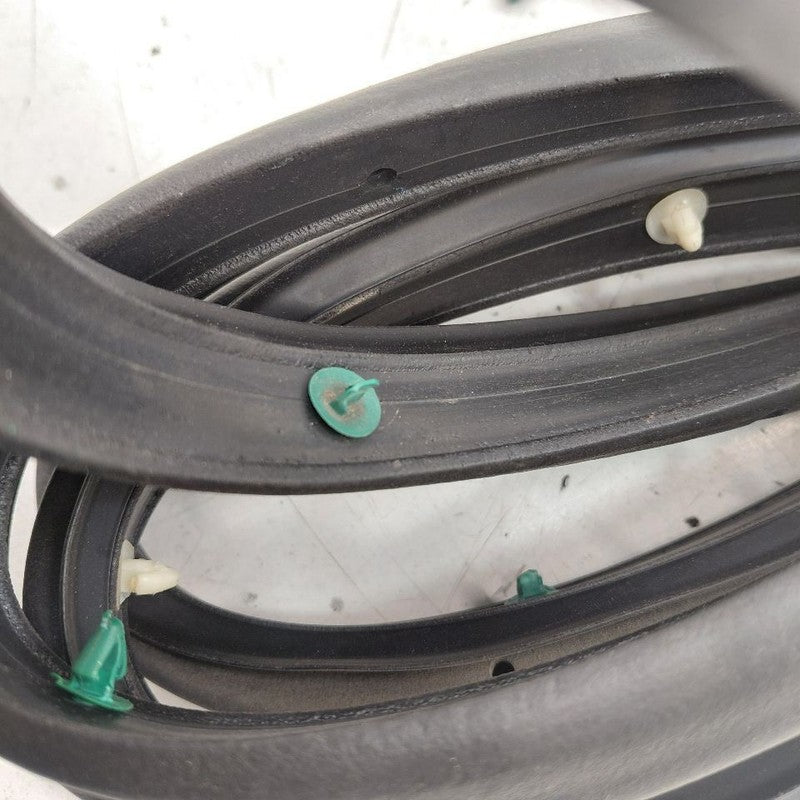 Chevy Volt On Door Seal Rubber Right Passenger Front  2016 2017 2018 2